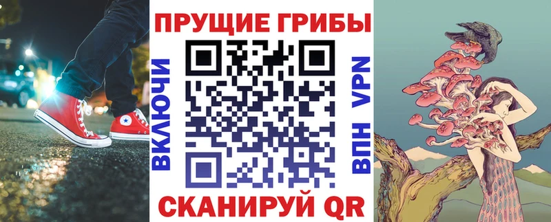 omg ссылка  купить   Реж  Галлюциногенные грибы Psilocybine cubensis 